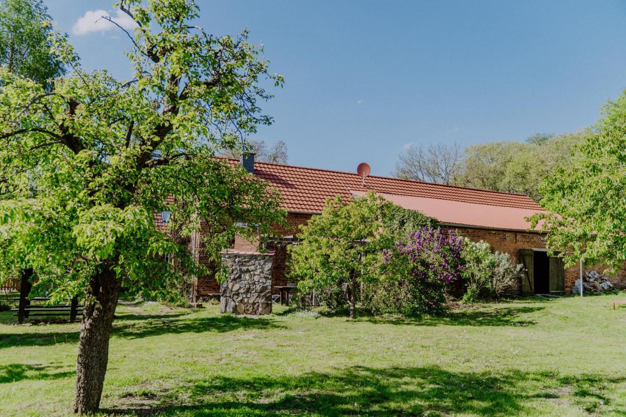Landhaus Goldene Gans Gross Pankow  Exterior photo